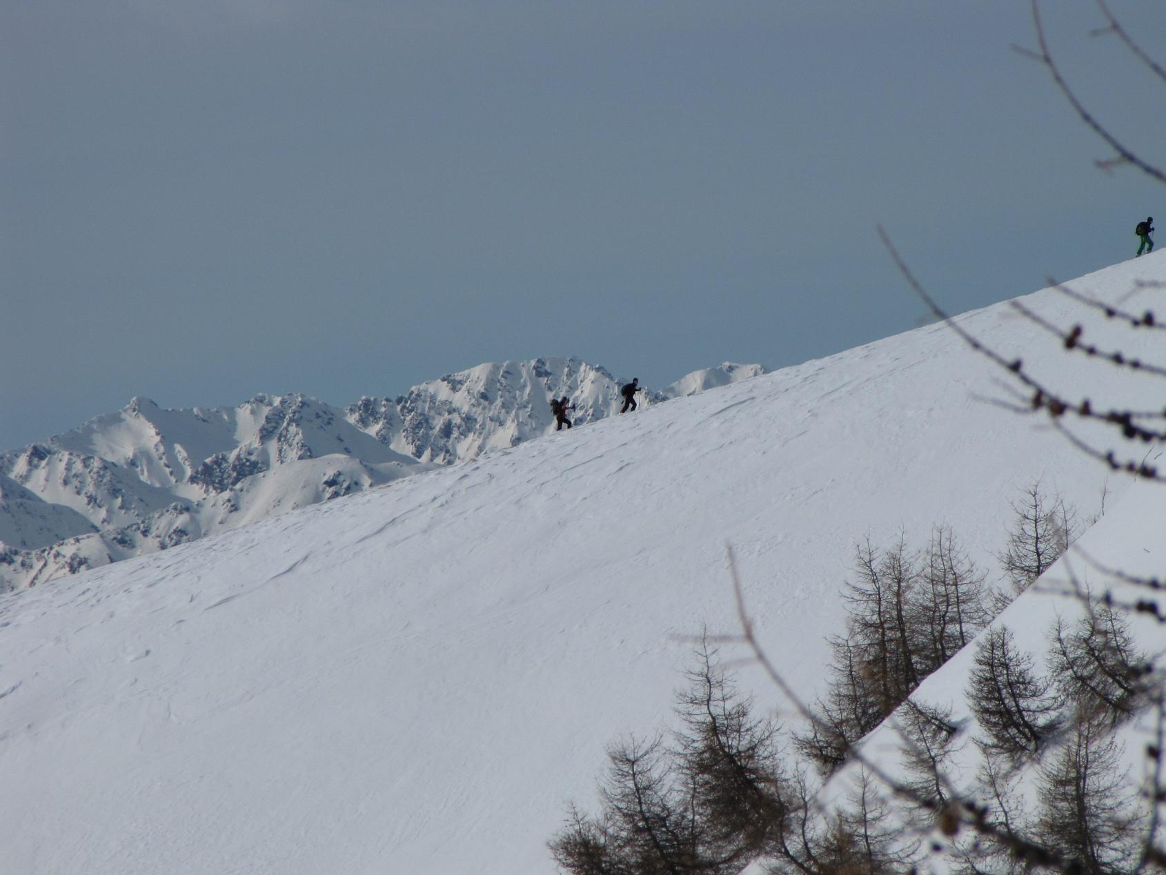 I camosci tornano a correre